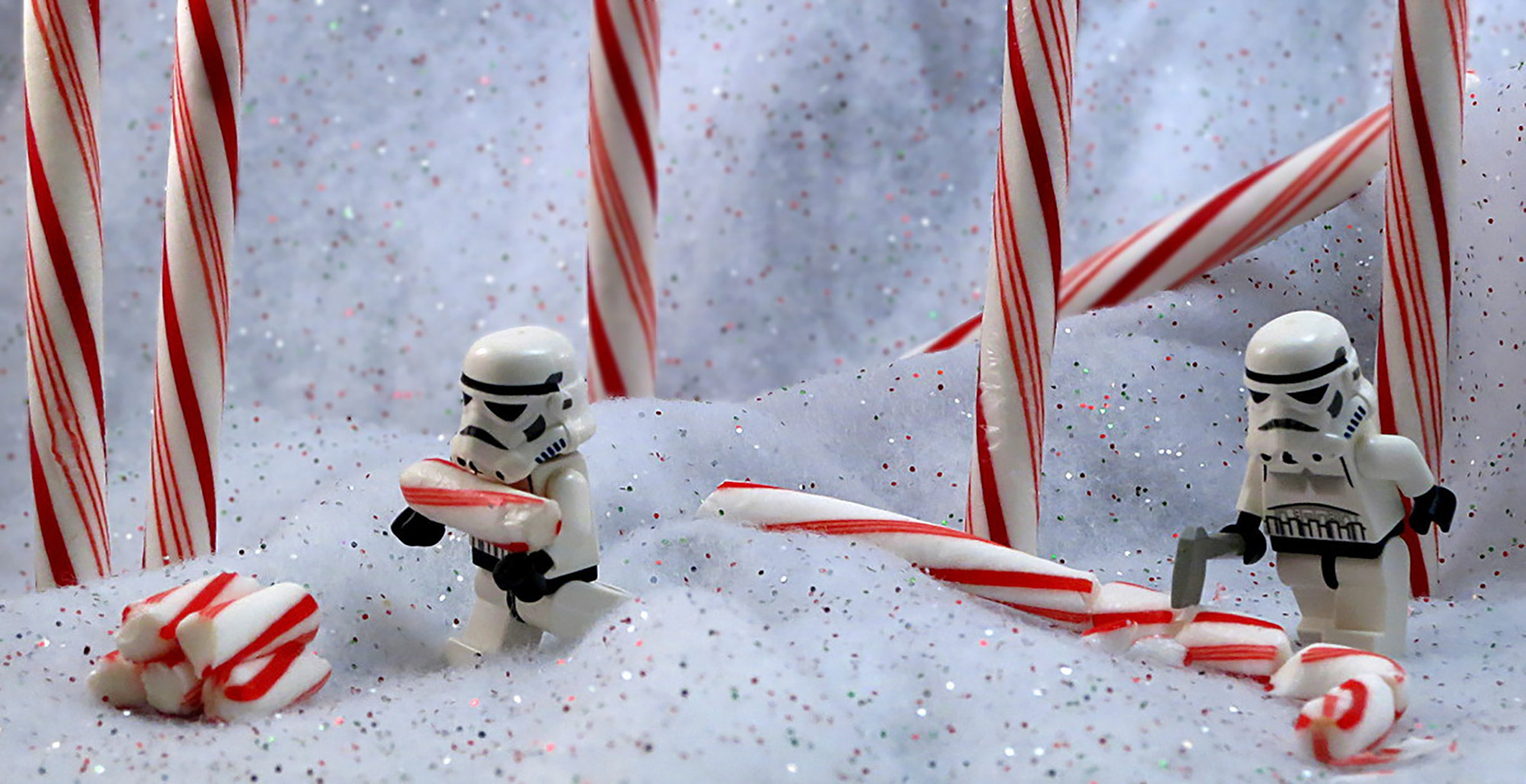 Candy Cane Forrest