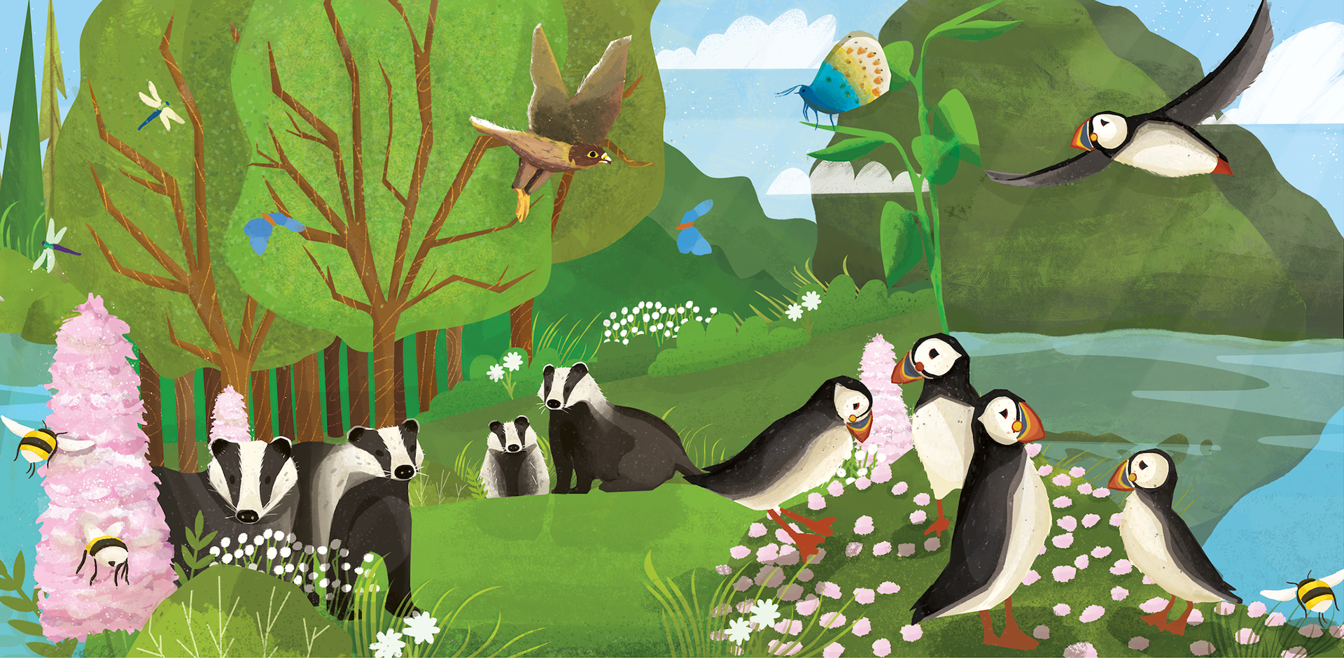 British Wildlife: Summer Scene