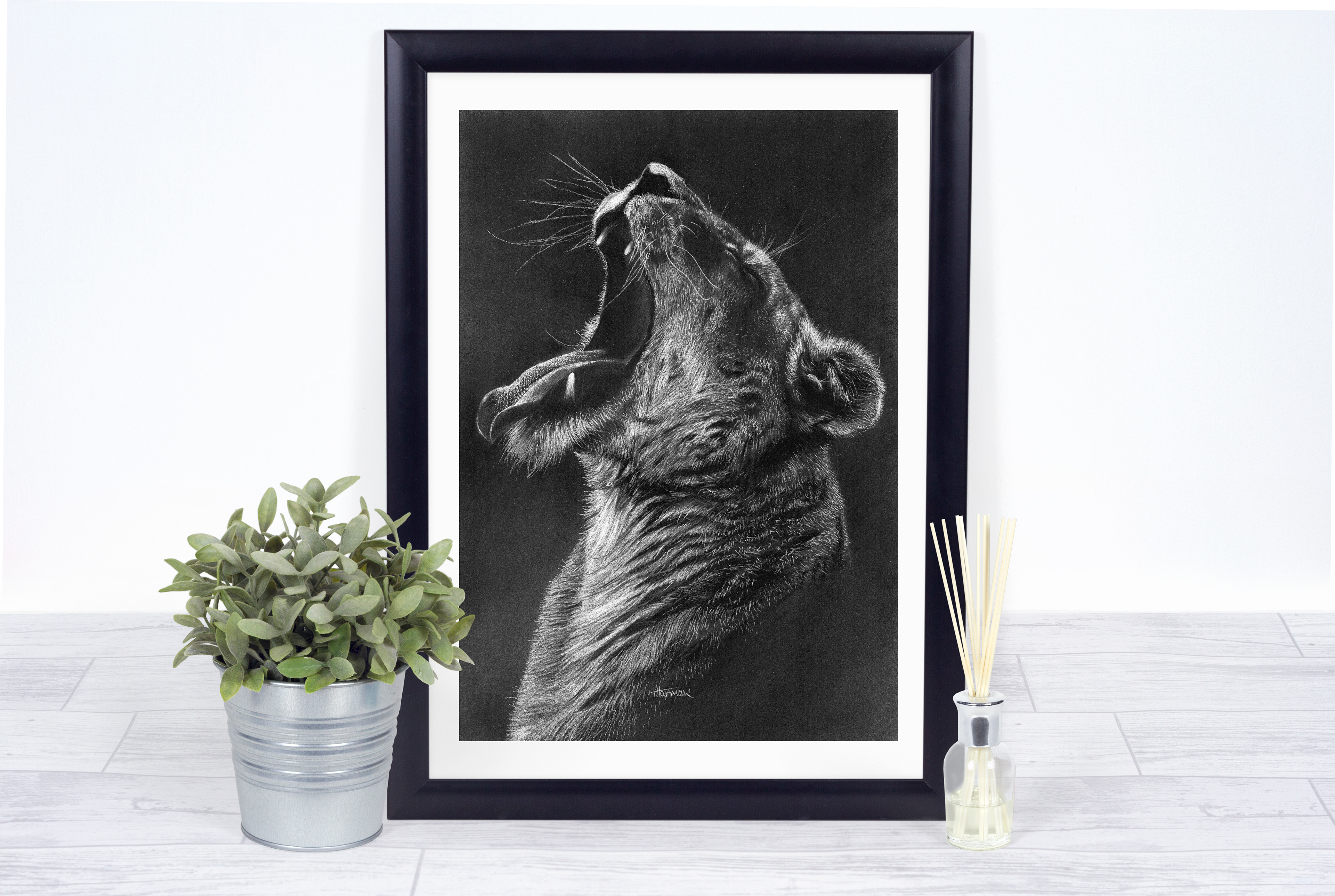 Lioness Pastel Pencil