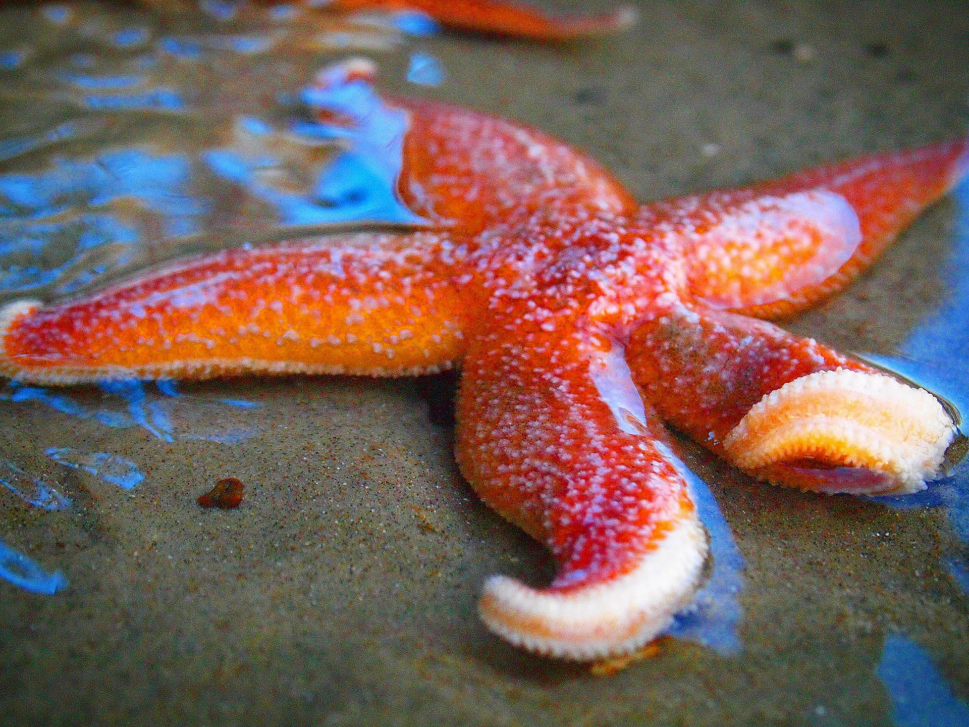 Life is Precious: Life is extraordinary and precious, there is a wealth of beauty and knowledge that comes from the ocean, and we are blessed to be able to witness this, that's what I want the future to be like everyday.