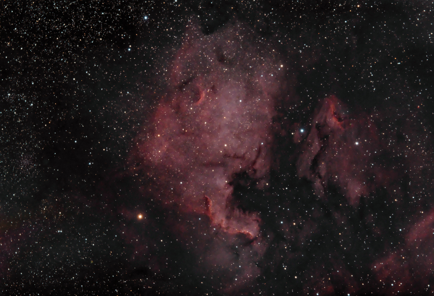 NGC 7000 North America Nebula © Irwin Seidman