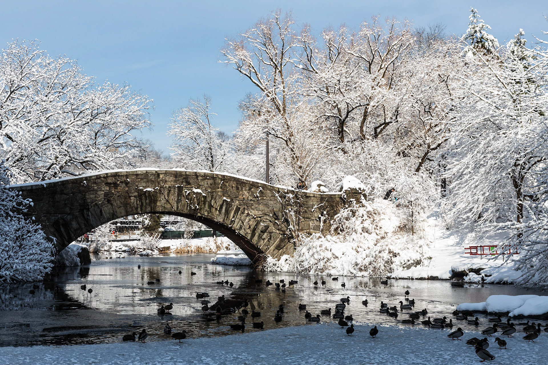 Central Park after a snowstorm in January 2014
