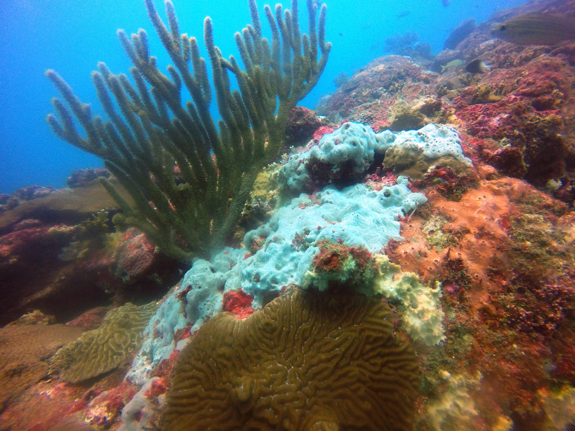 DCIM\100GOPRO\GOPR8639.