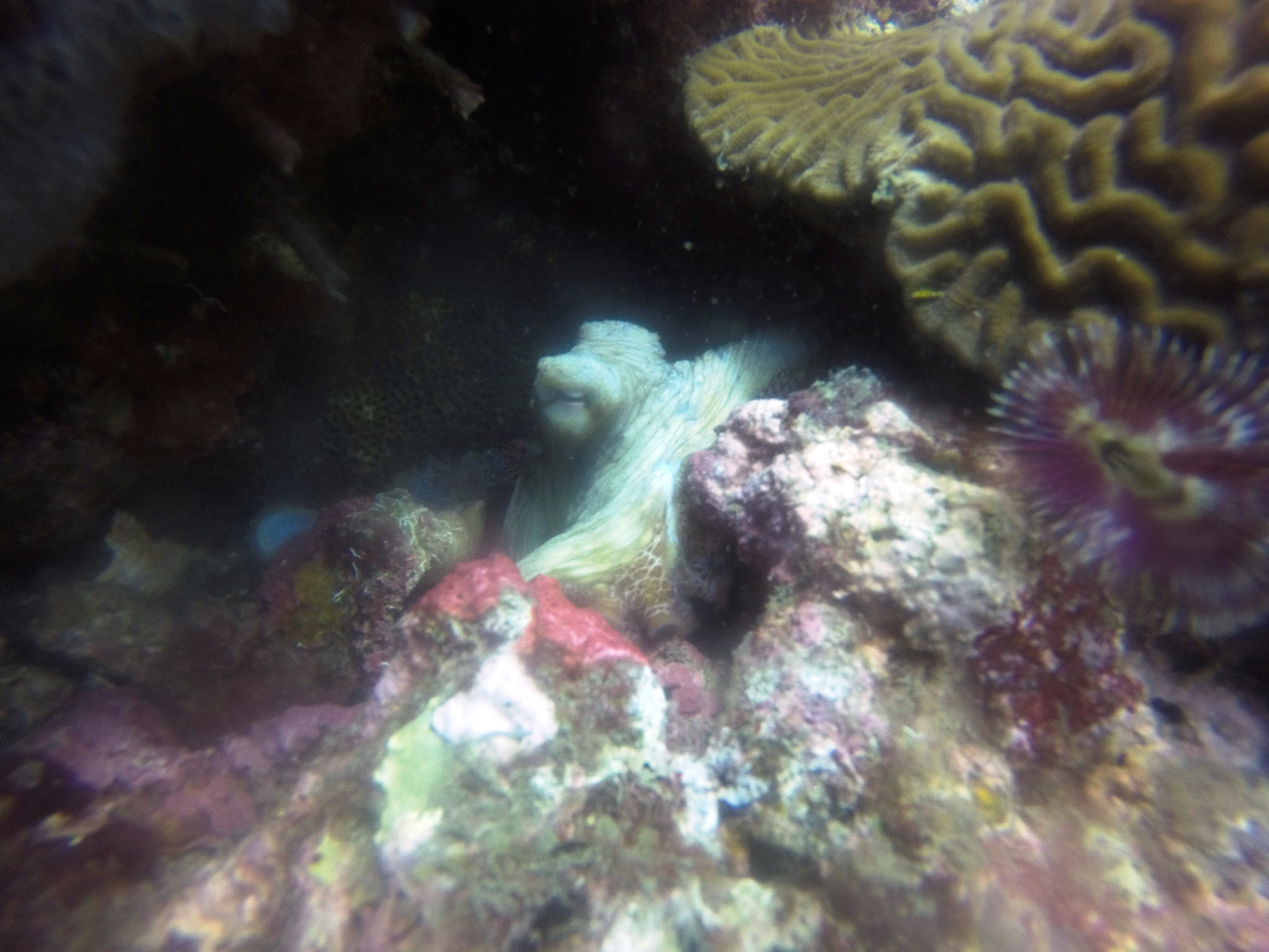 DCIM\100GOPRO\GOPR8735.