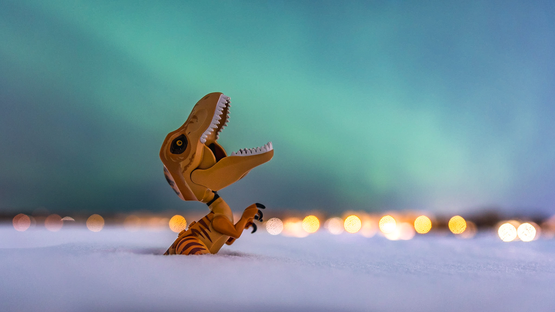 33/52 - Wonder of Nature: The Northern Lights, Nordlys, Revontulet, Norrsken, Polarsken, северное сияние, Guovssahasah, Norðurljós, йыӈэттэт, yakąįh, or zheekąįh