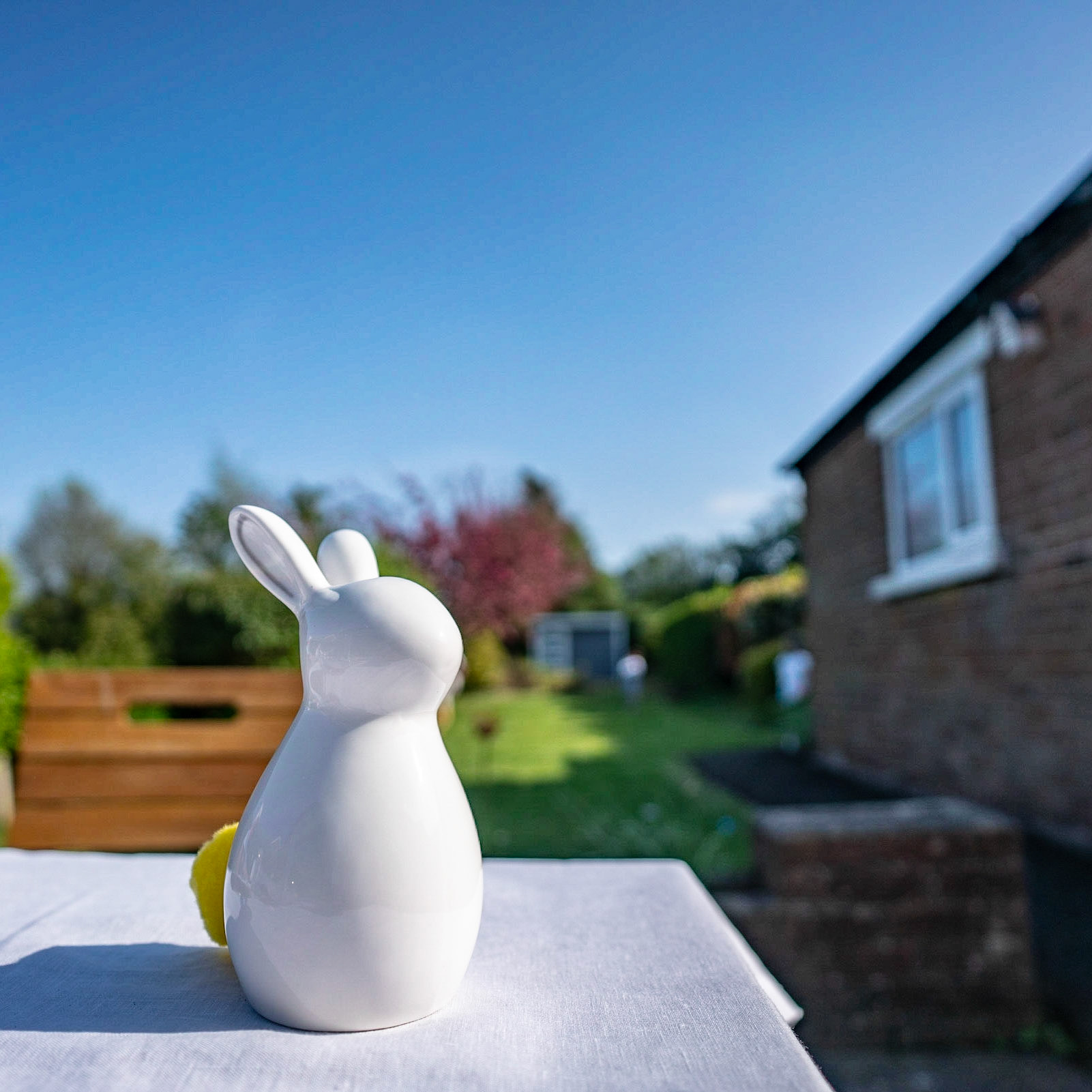 The Easter bunny on Easter Sunday. Great day with the family and hottest Easter Sunday on record!!