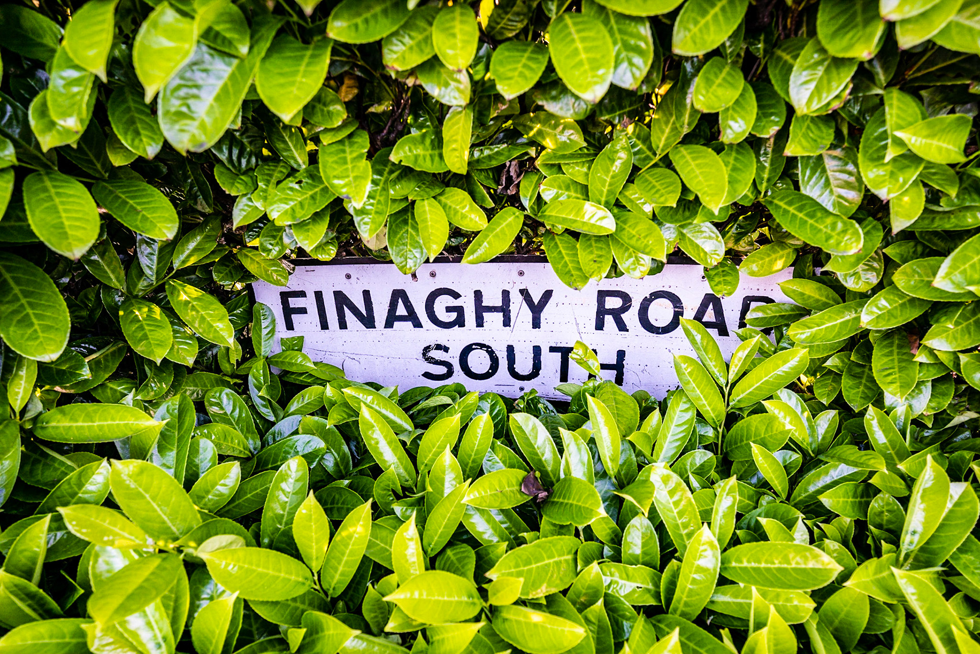 Not alot to say about this - Finaghy Road South!!