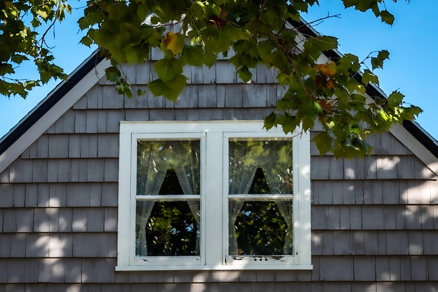 Windows - Wauwatosa, WI 2020