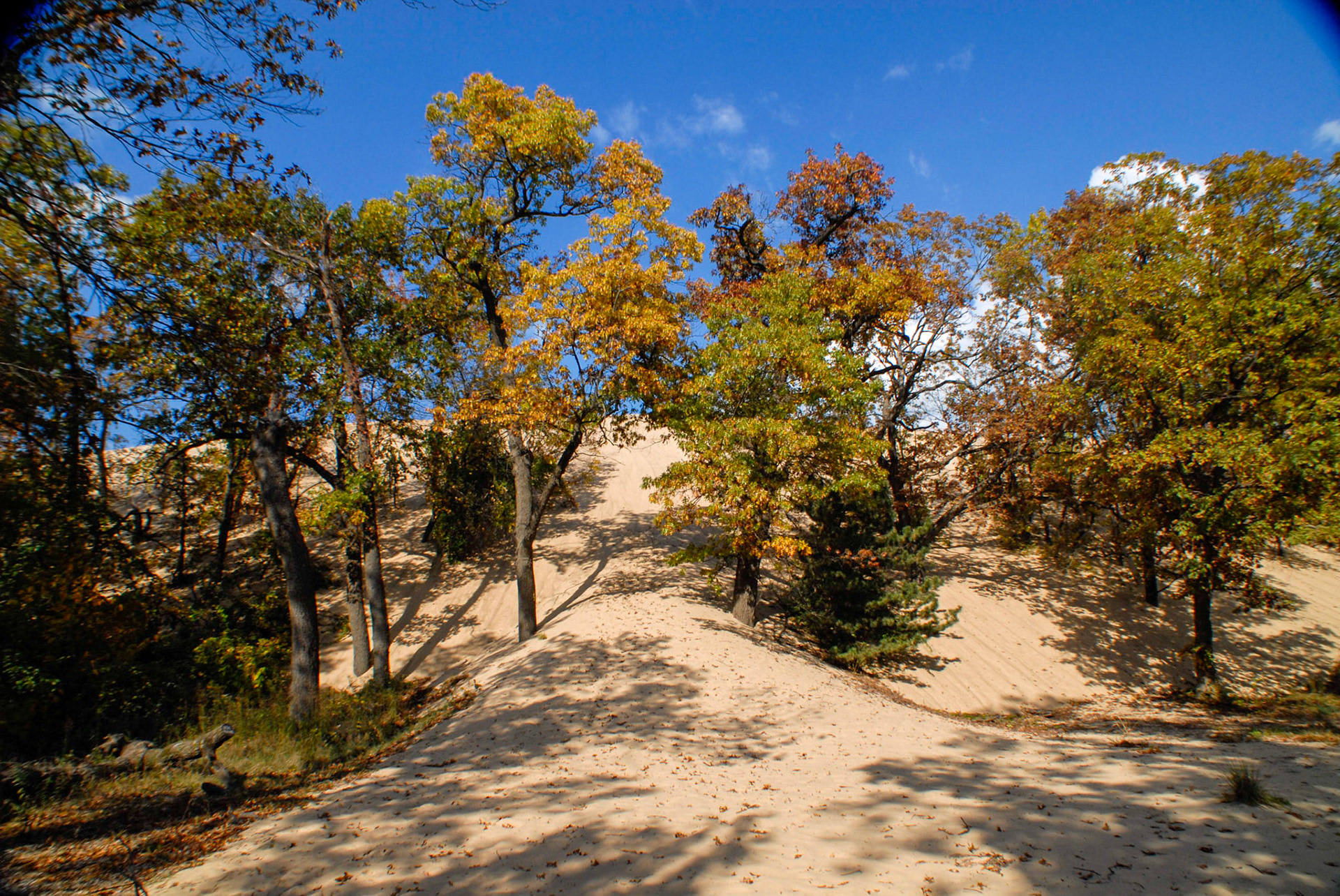 Mt Baldy Trail - October 2007  (gone now)