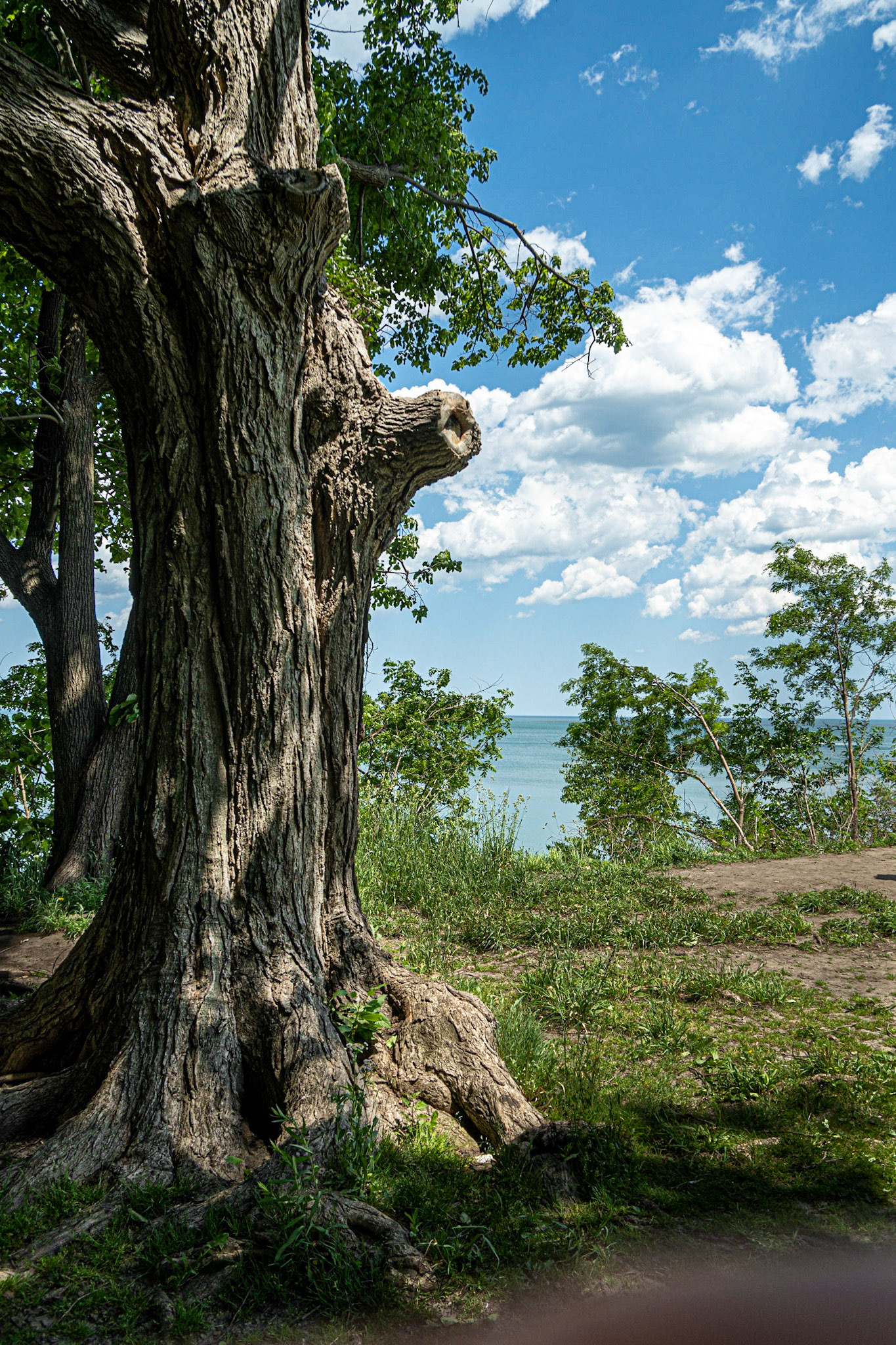 Seven Bridges Trail - Grant Park - - Milwaukee WI