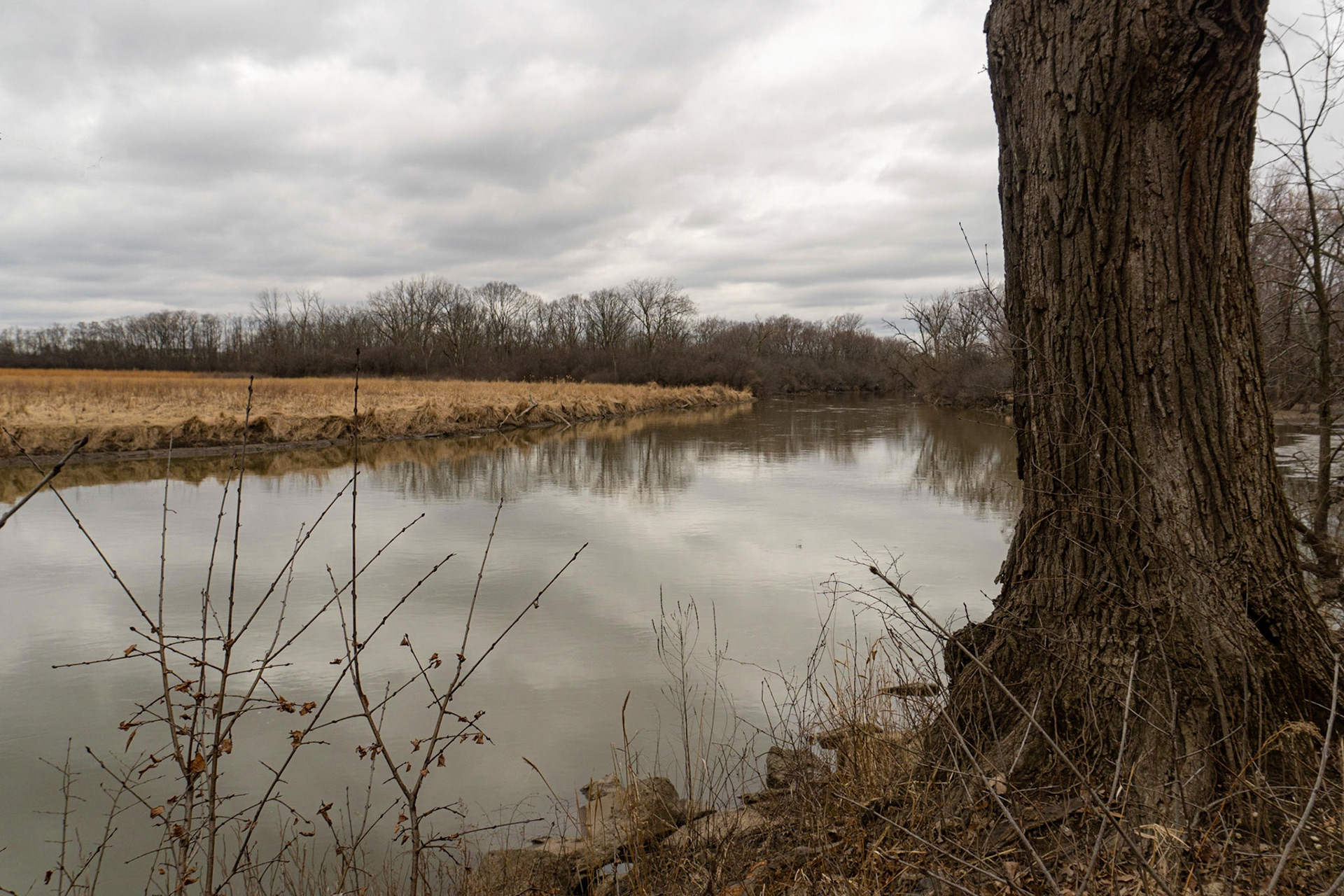 Des Plaines River - Northbrook IL March 14, 2020