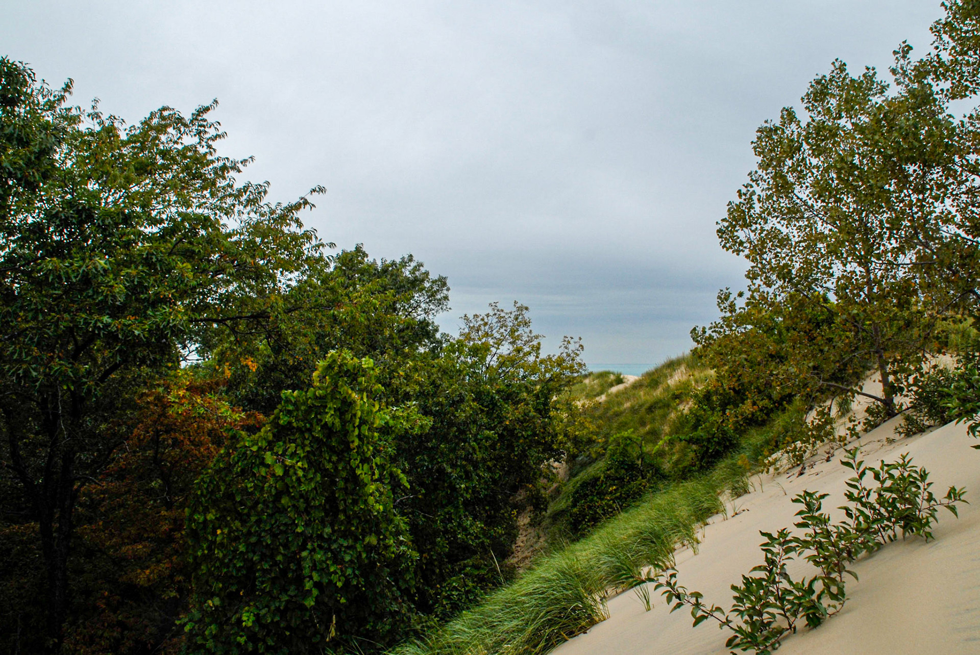 The Lake from Mt Baldy - Indiana Nat's Lakeshore - Michigan City IN
