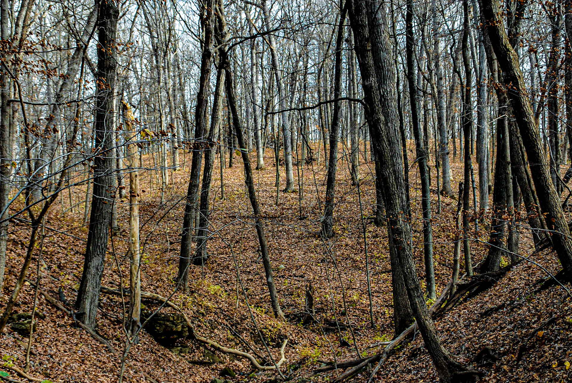 Matthiessen SP - Utica IL