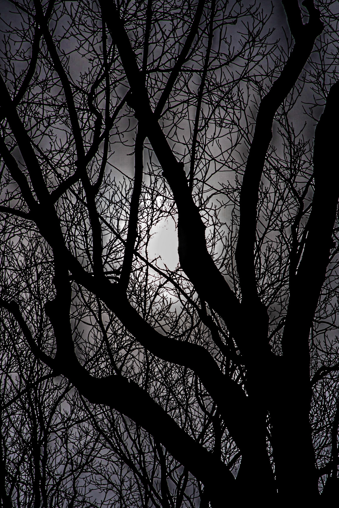 Pike Lake SP, WI, April 2021