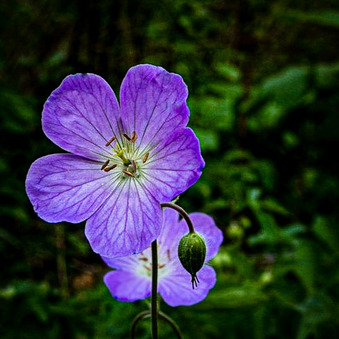 Lapham Peak SP - Delafield WI, 2021