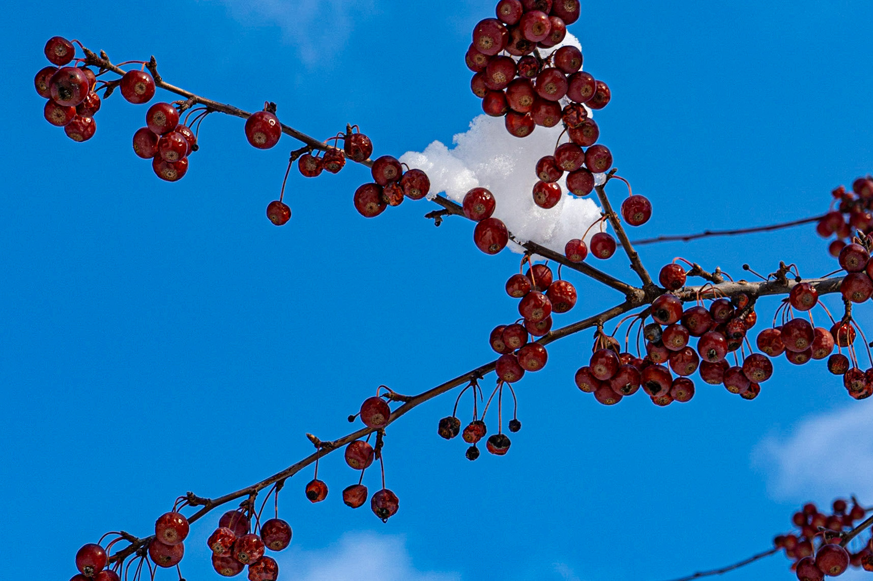 Milwaukee Ave - Wauwatosa, 2019