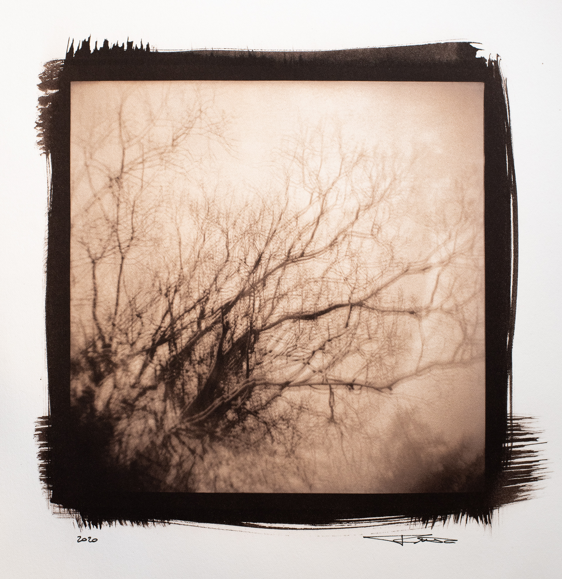 Alberi d'inverno - Van Dyke