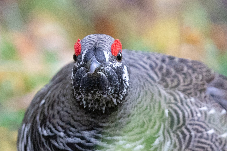You Lookin' at Me?