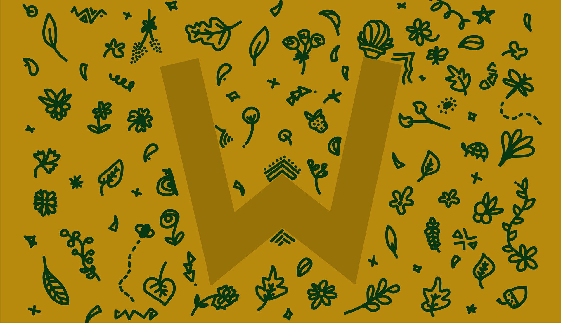 W for "Wild Wild Country"