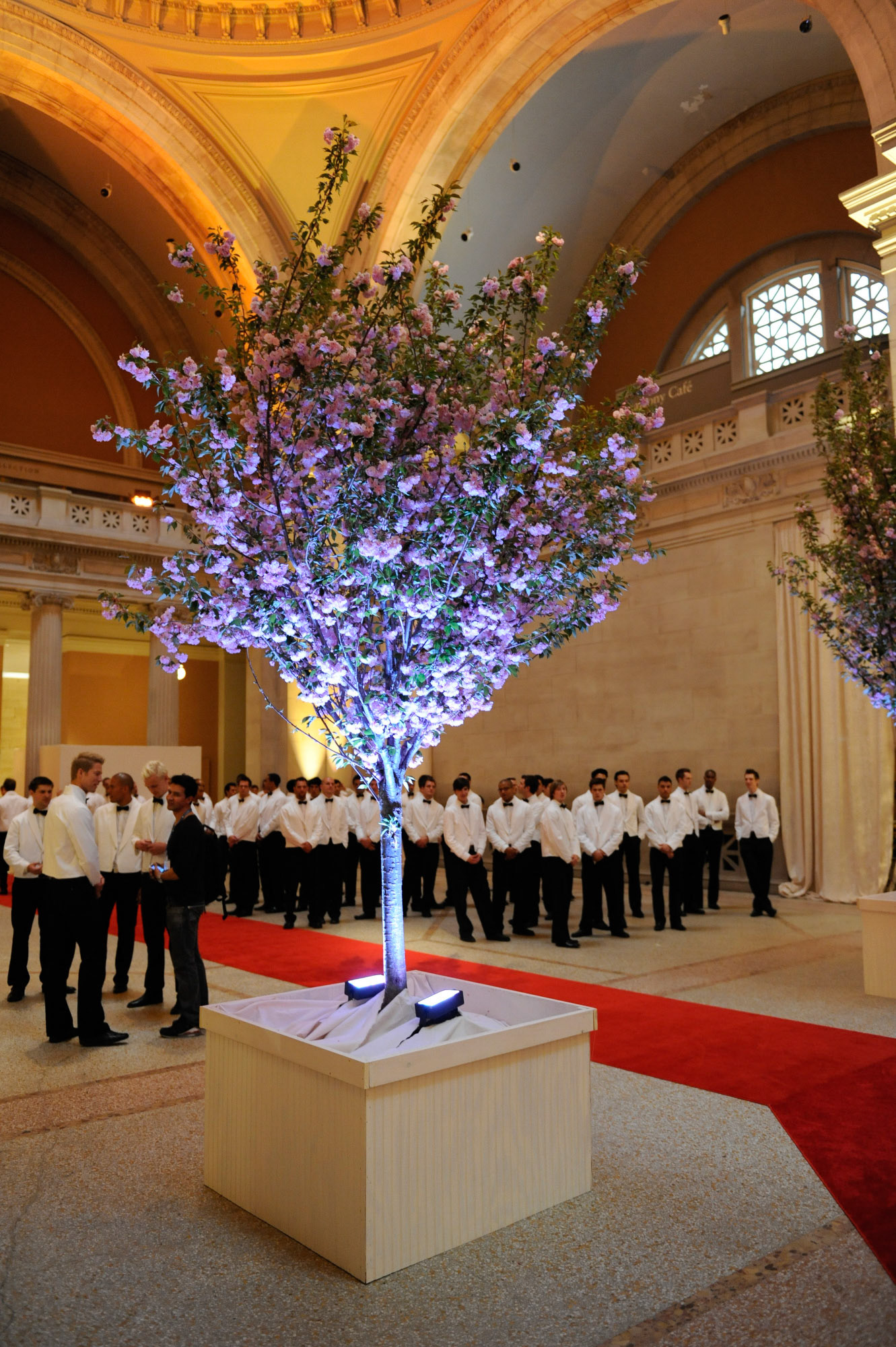 The Model as Muse: Embodying Fashion