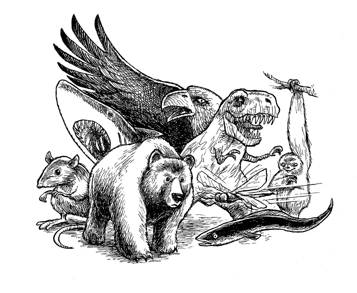 Illustration, Miwer, tegning, artwork, Panternatten, Peter Mouritzen, Jensen&Dalgaard