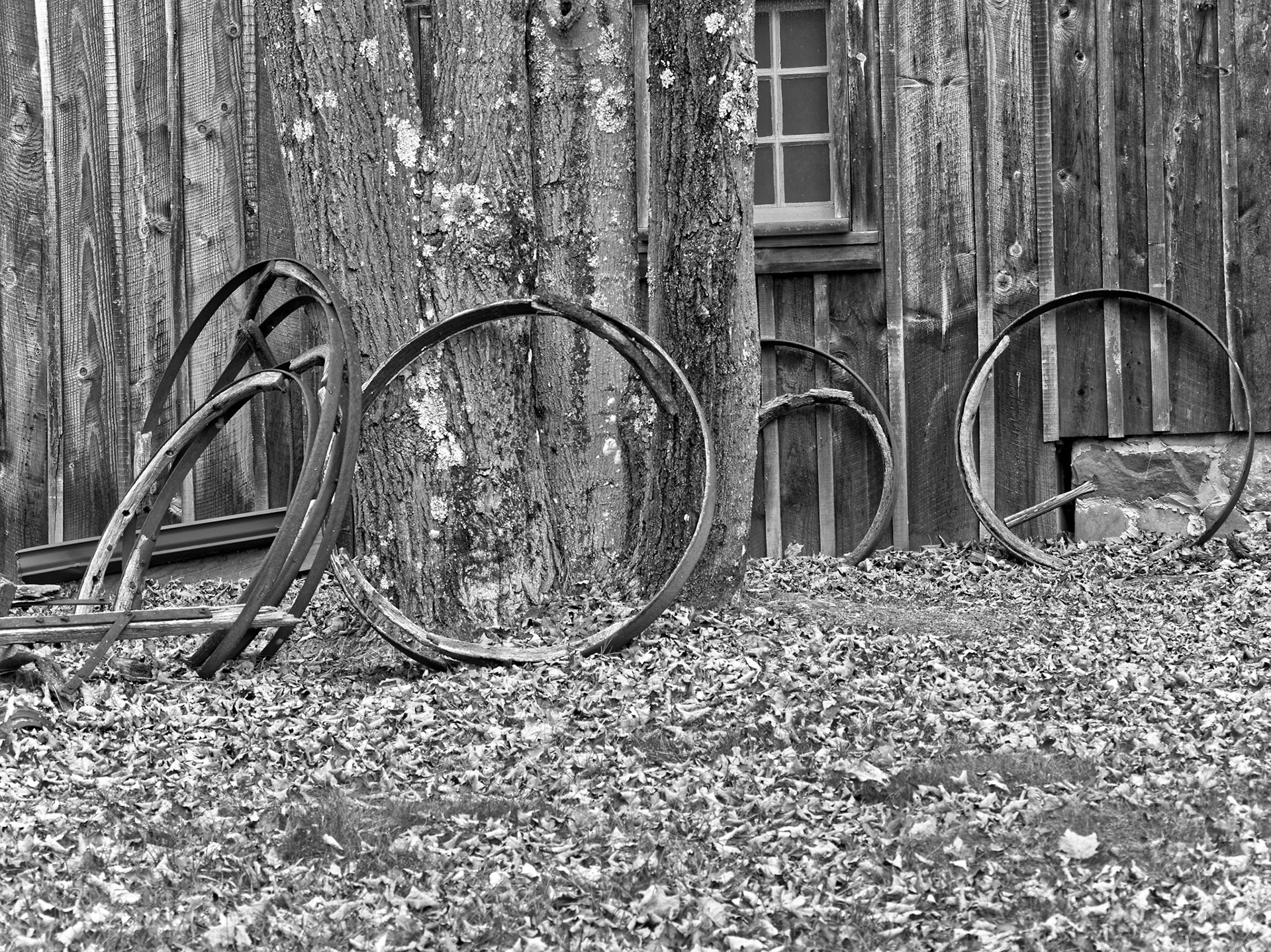 Black & White 00008