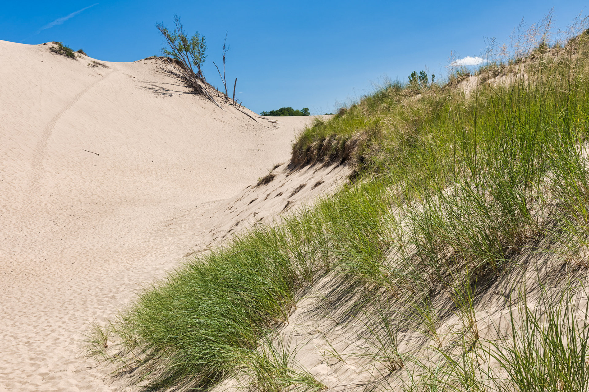 MI Dunes 00027