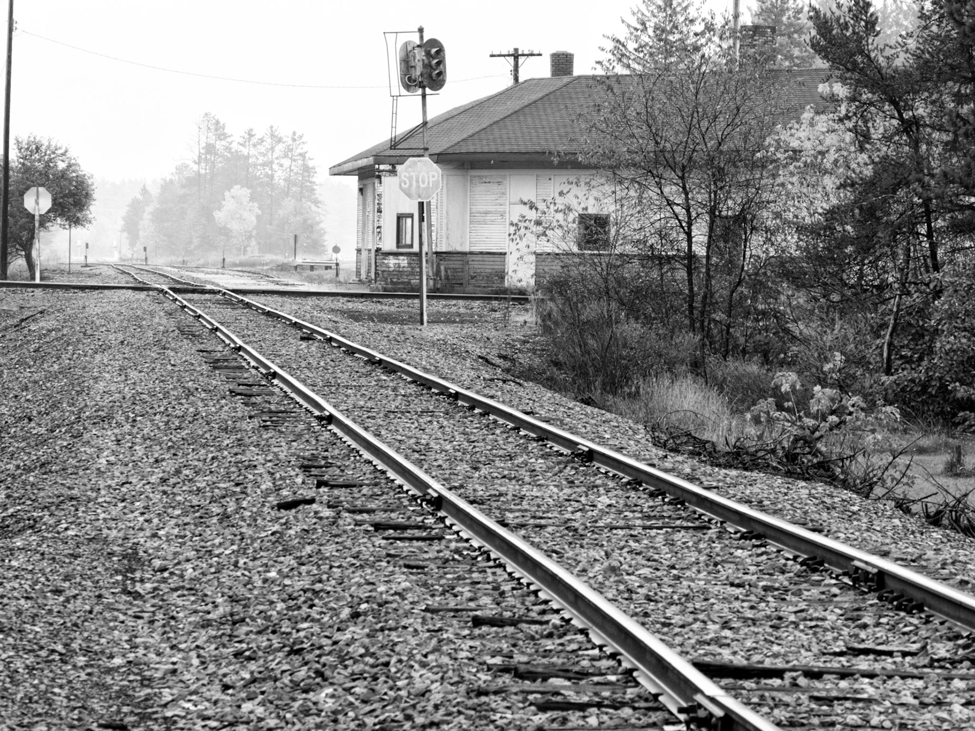Black & White 00150