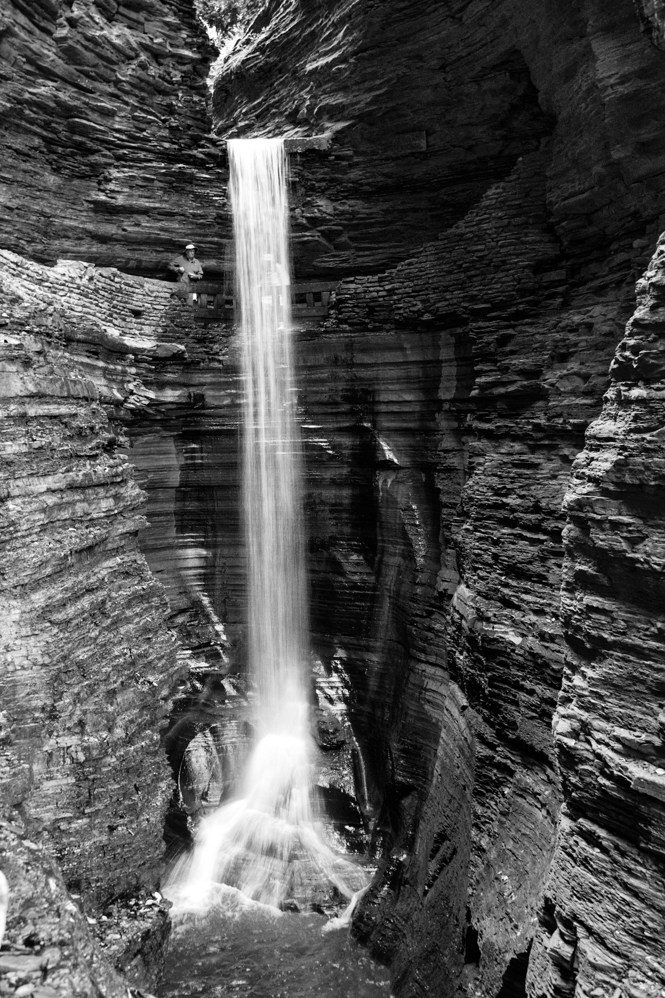 Black & White 00221
