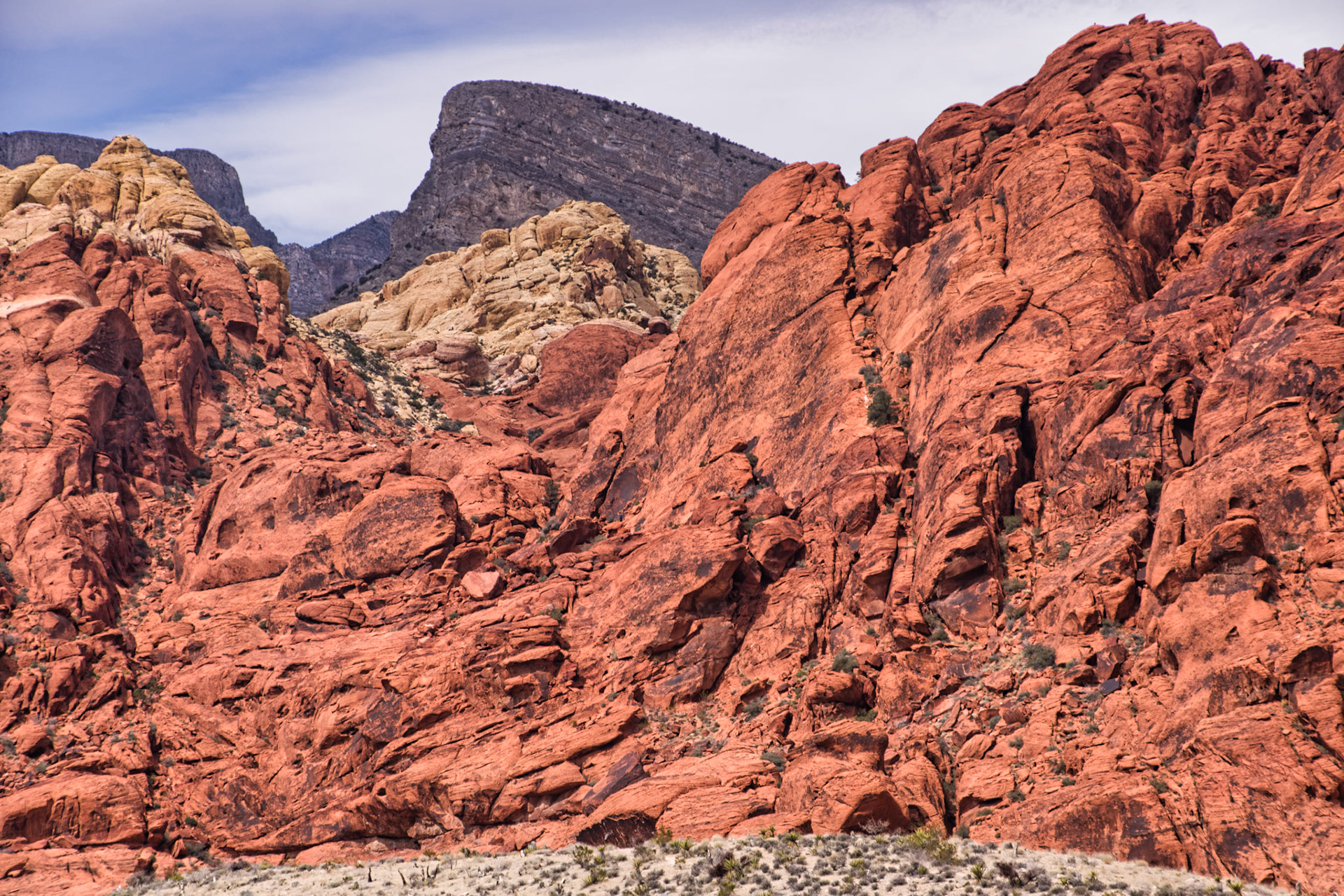 NV Desert 00192