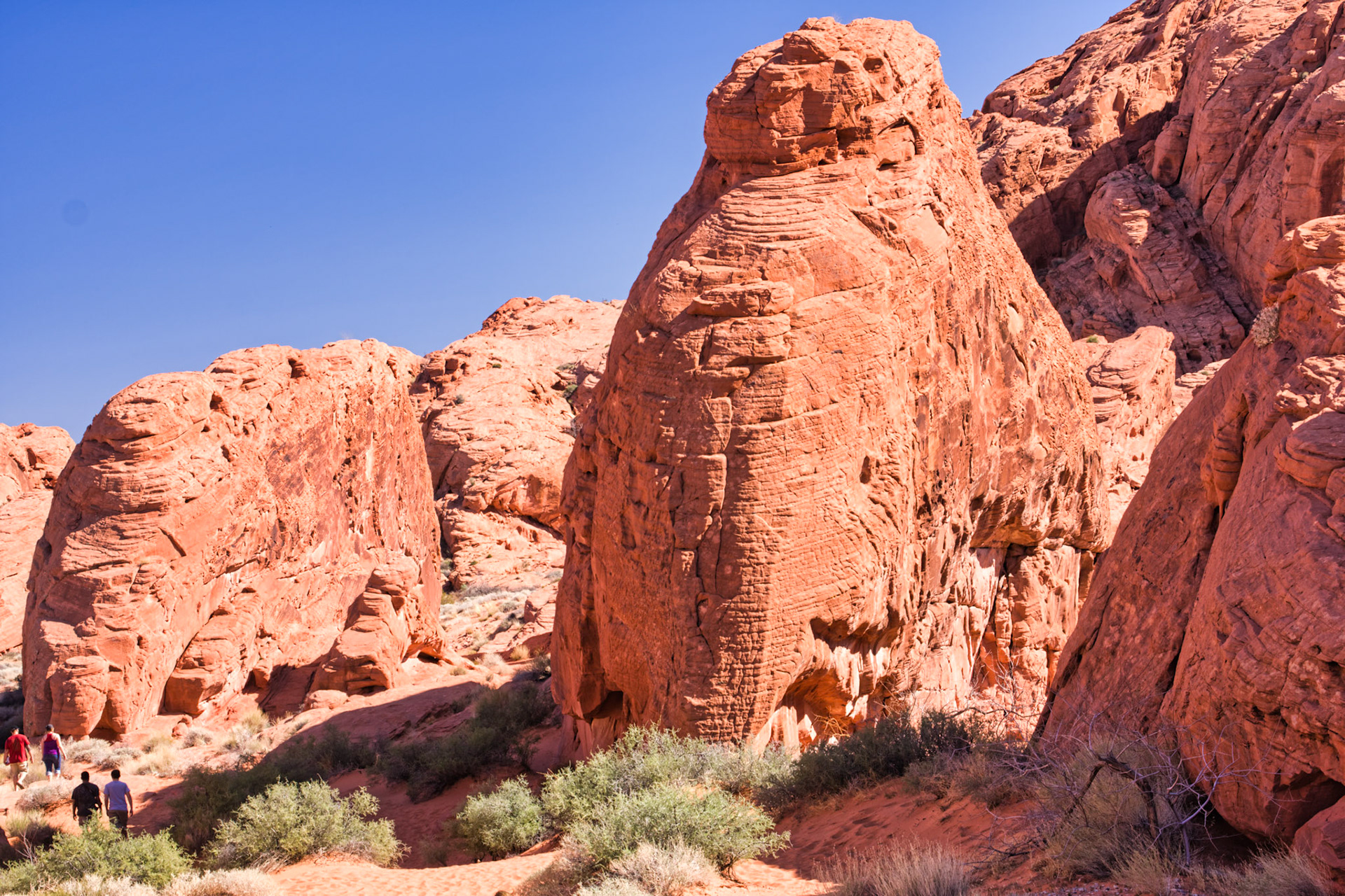NV Desert 00138