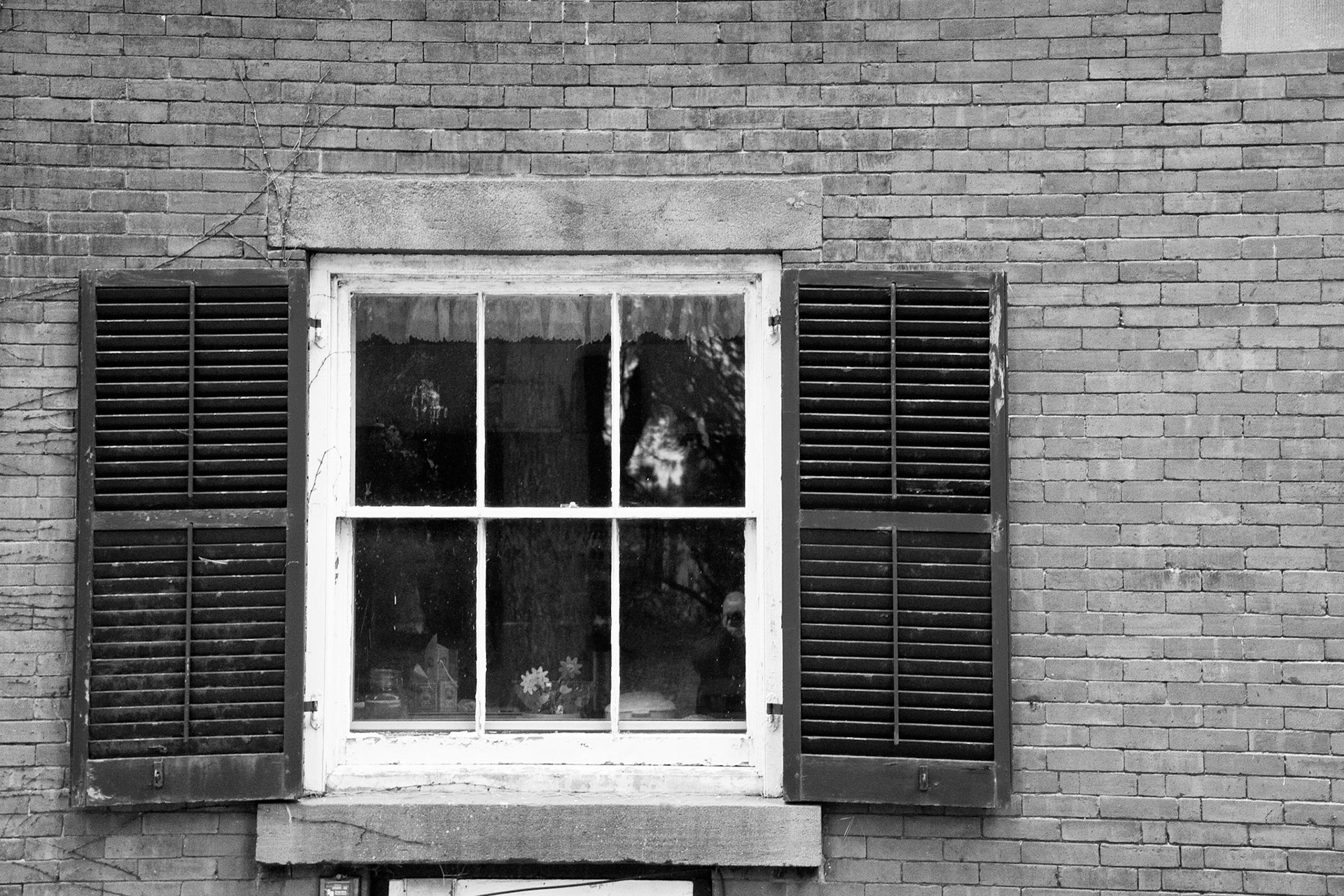 Black & White 00133
