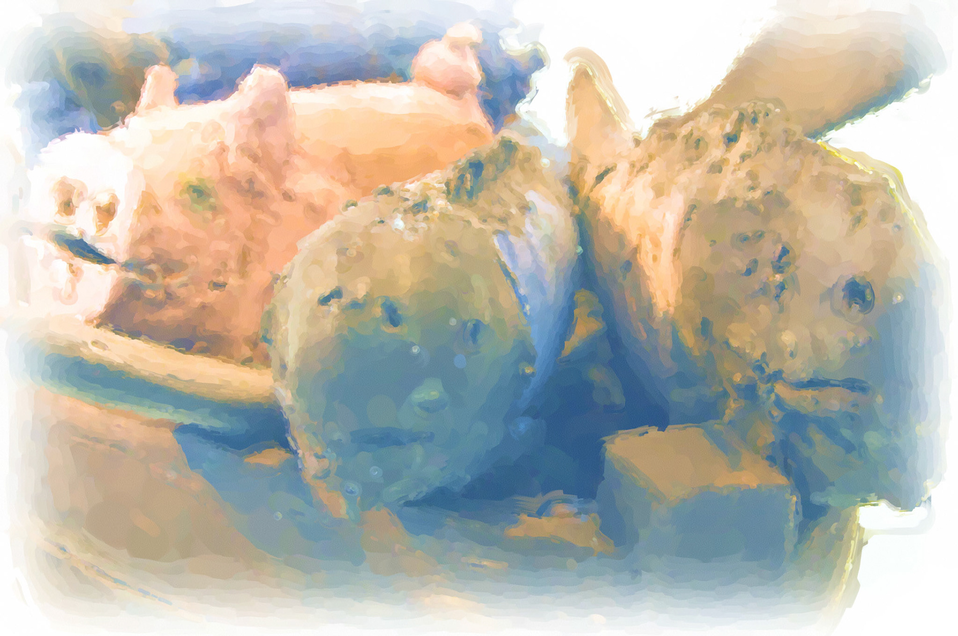 Paintings 00117