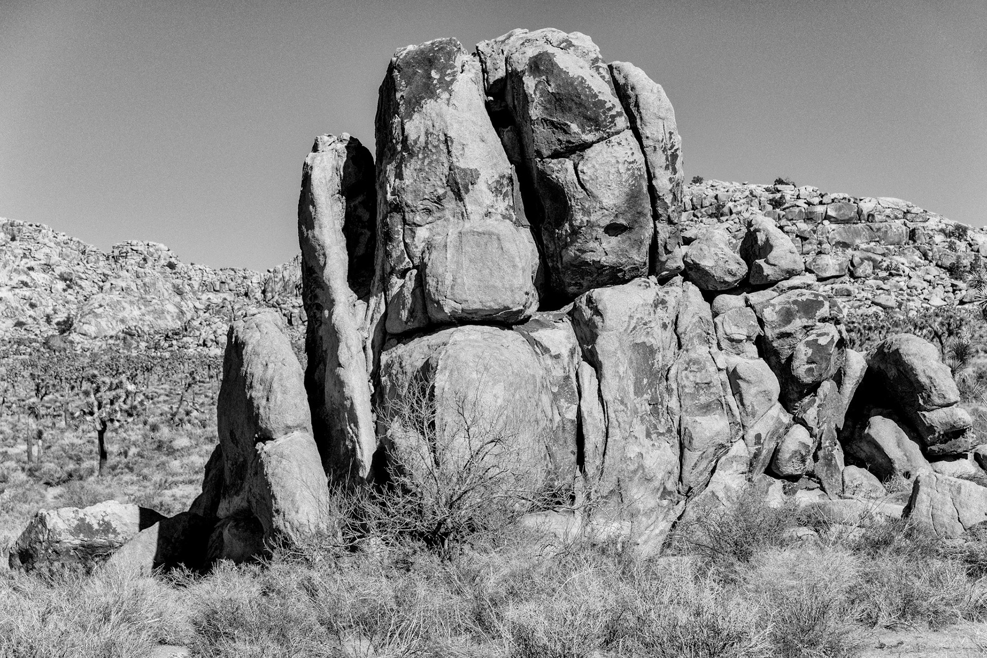 Black & White 00101
