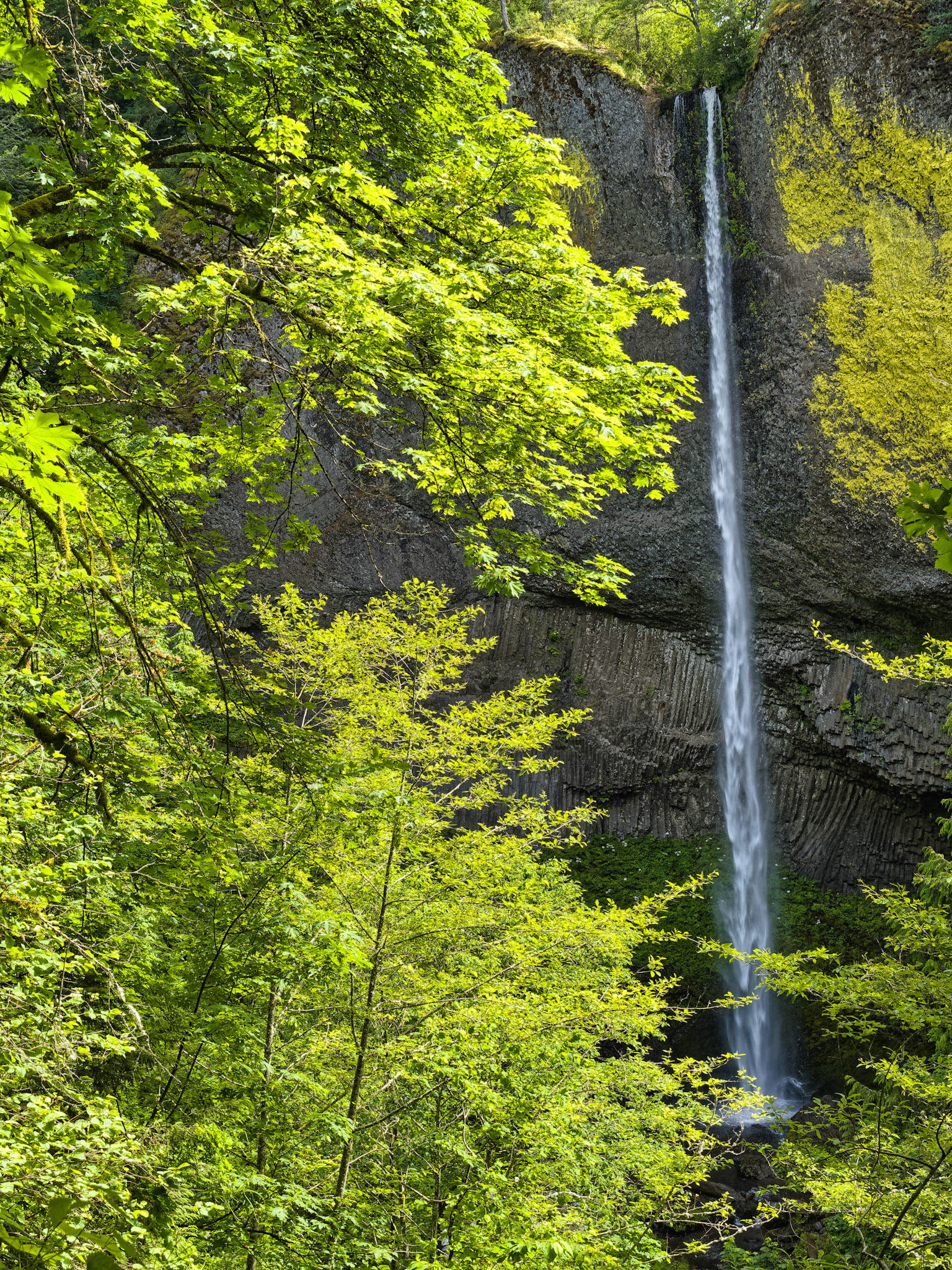 OR Portland 00027