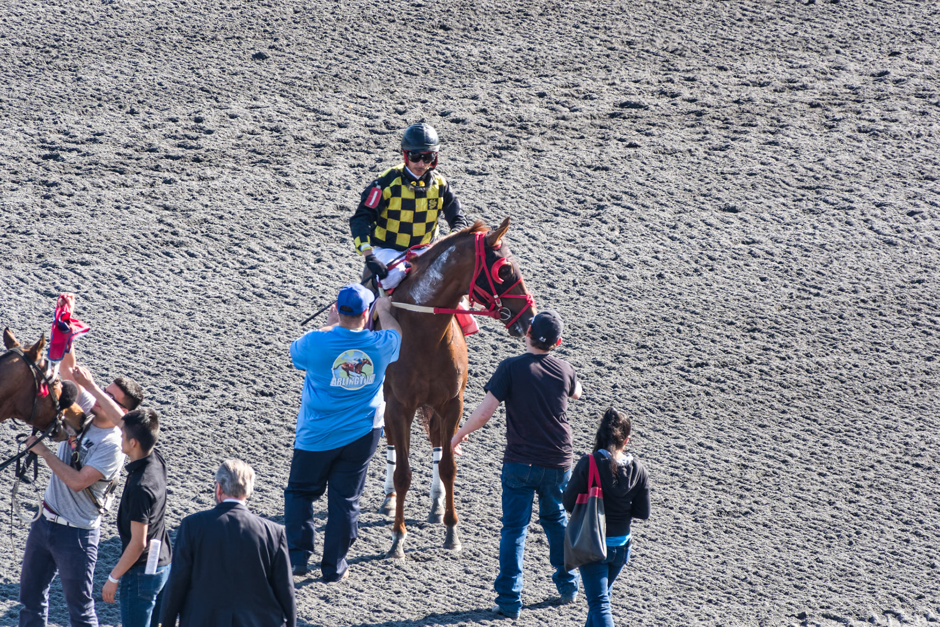 IL Arlington Park 00049