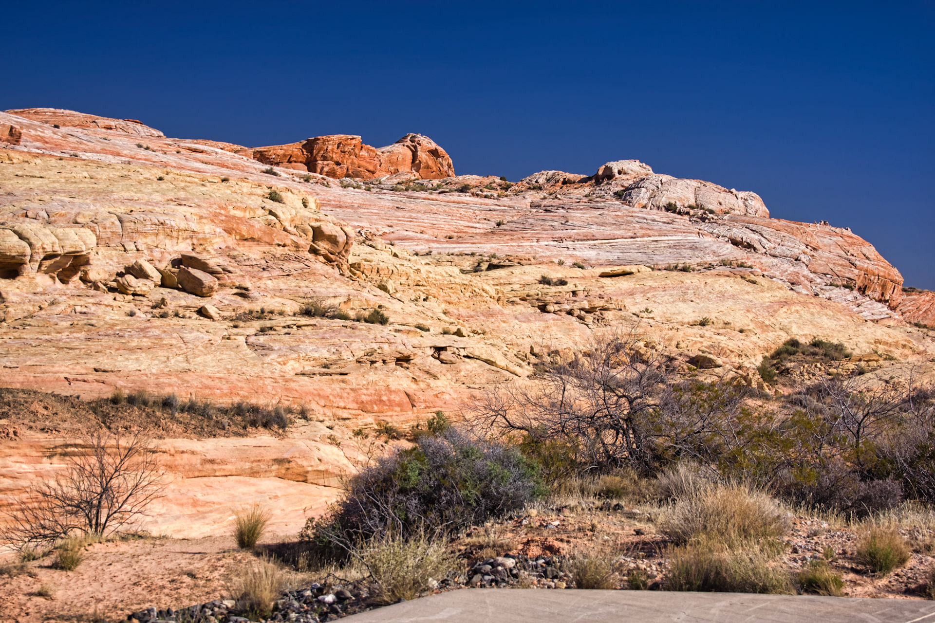 NV Desert 00106