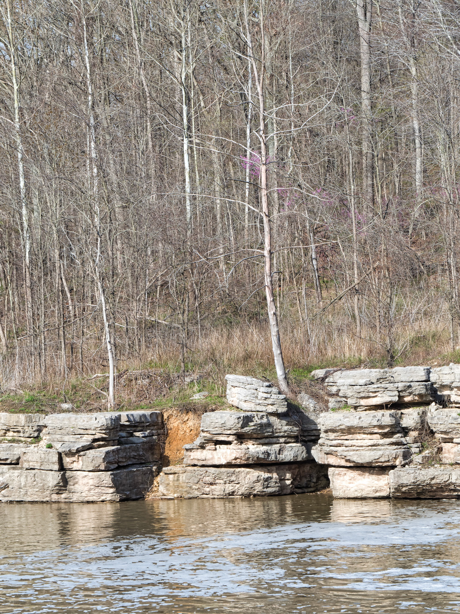IN Spenser State Park 00006
