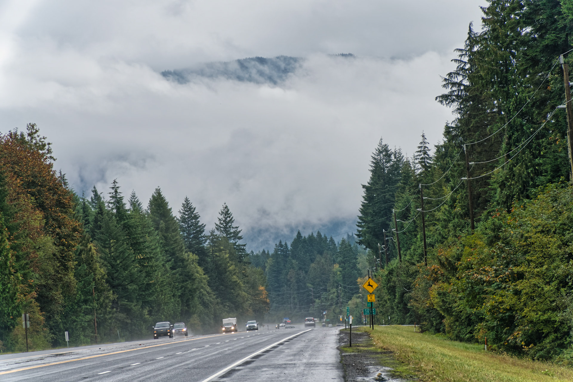 OR Mt Hood 00005