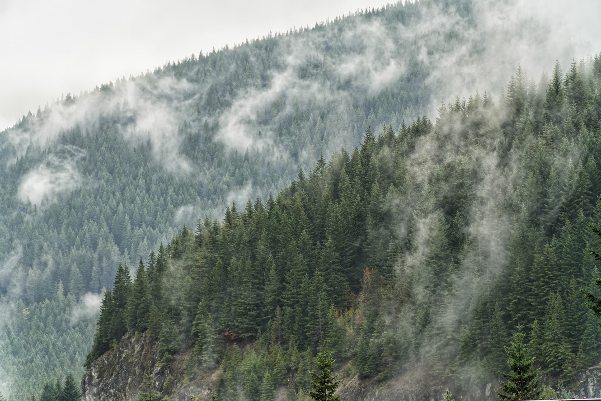 OR Mt Hood 00008