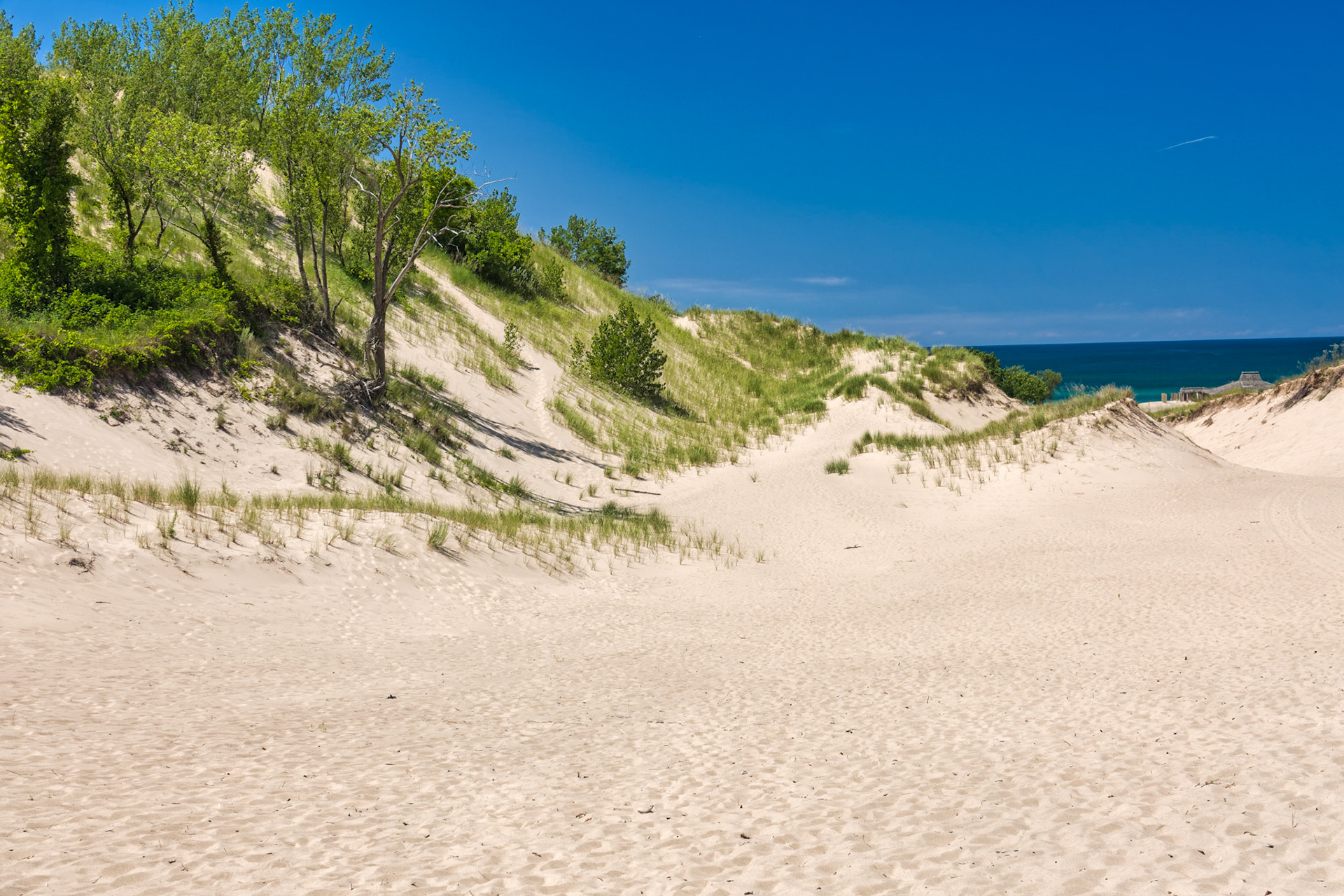 MI Dunes 00048
