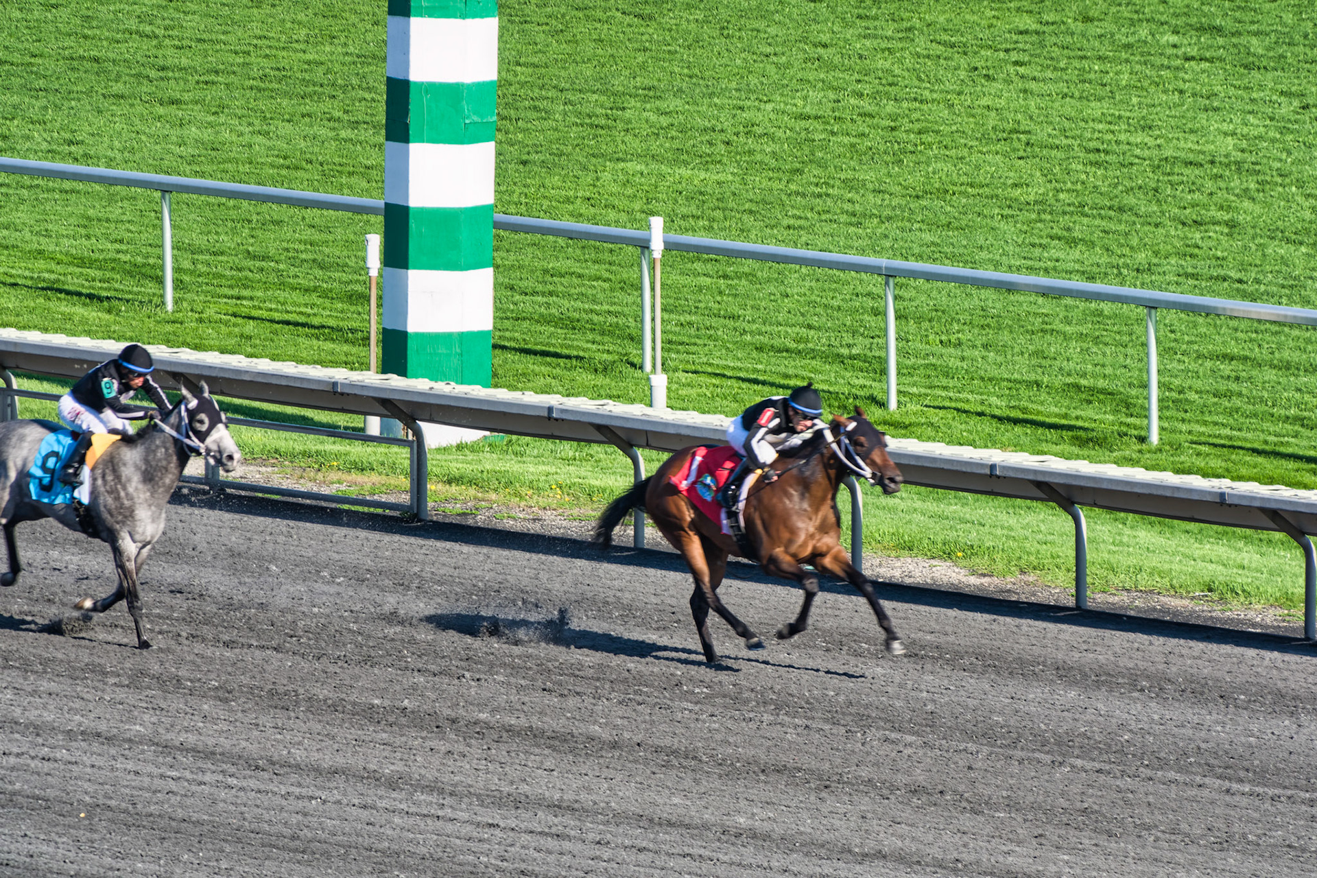 IL Arlington Park 00062