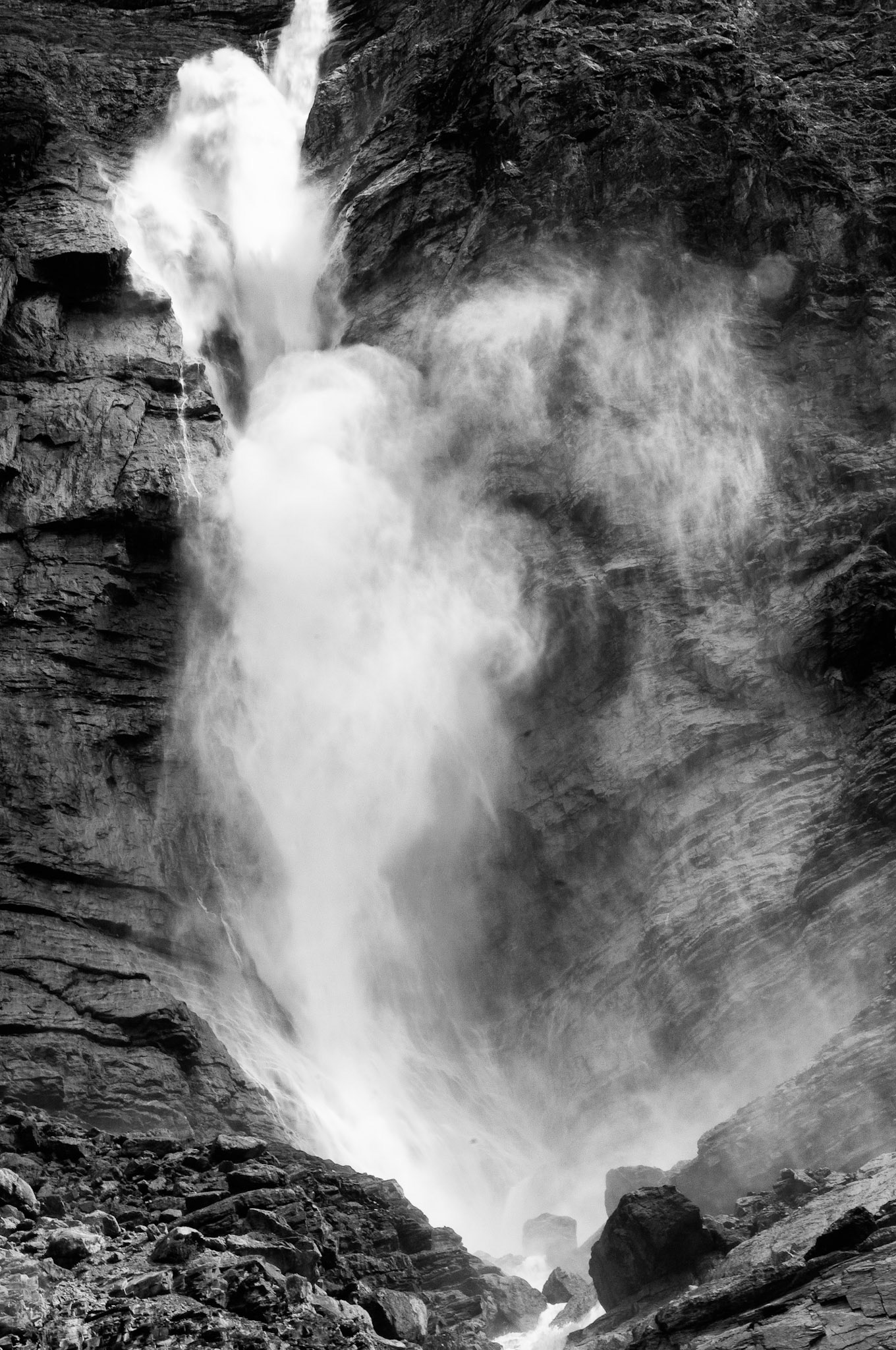 Black & White 00085