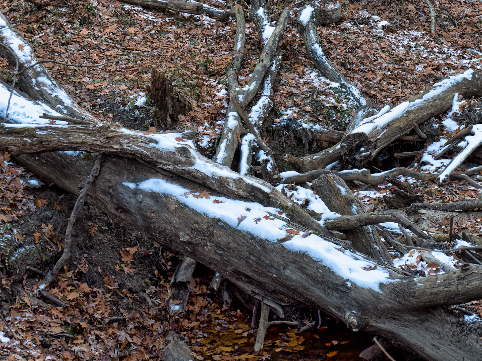 IL Starved Rock 00078