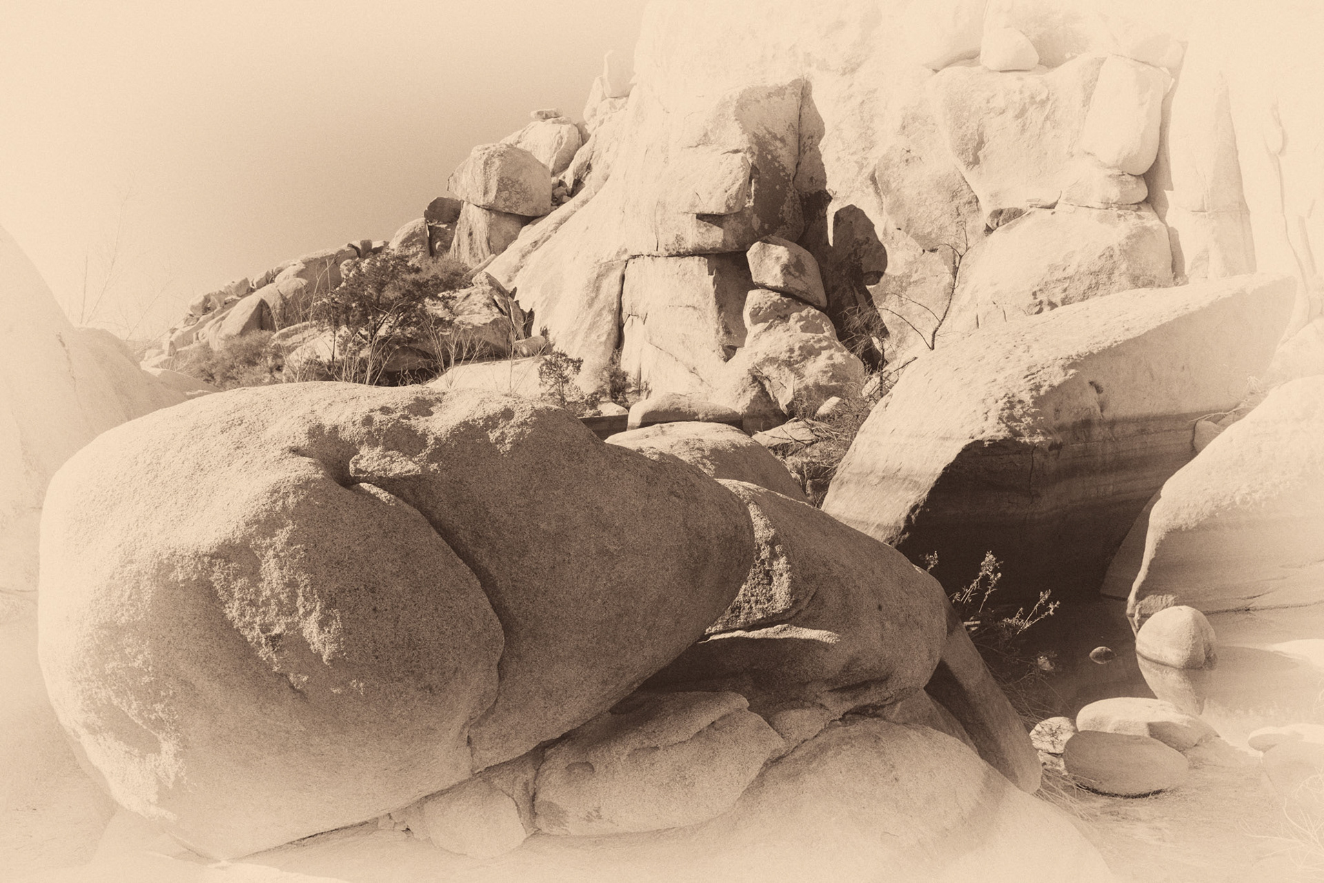 Black & White 00095