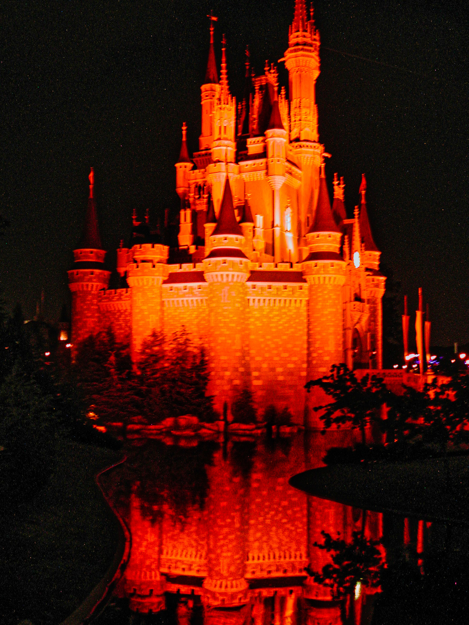 Florida Disney 00008