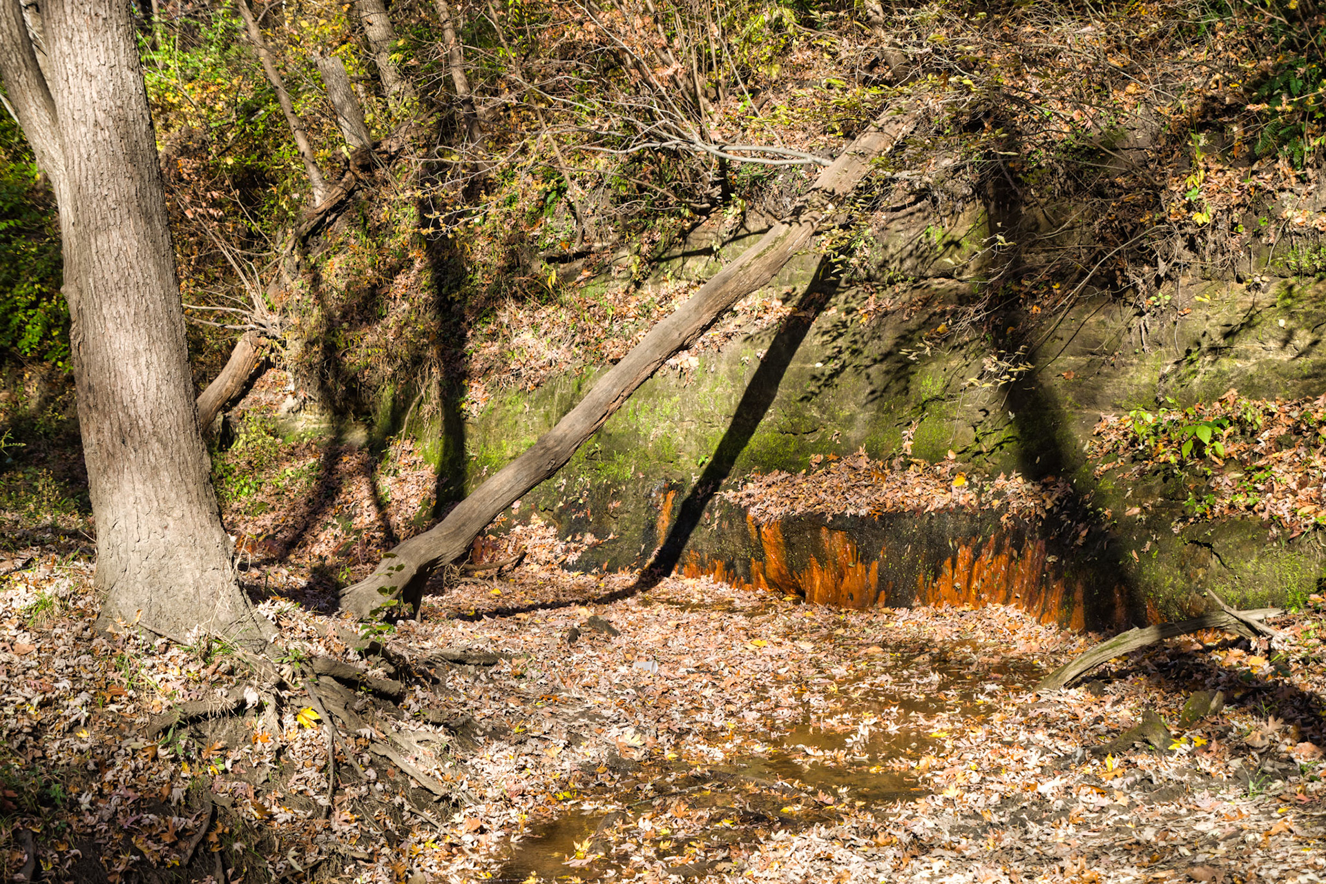 IL Starved Rock 00015