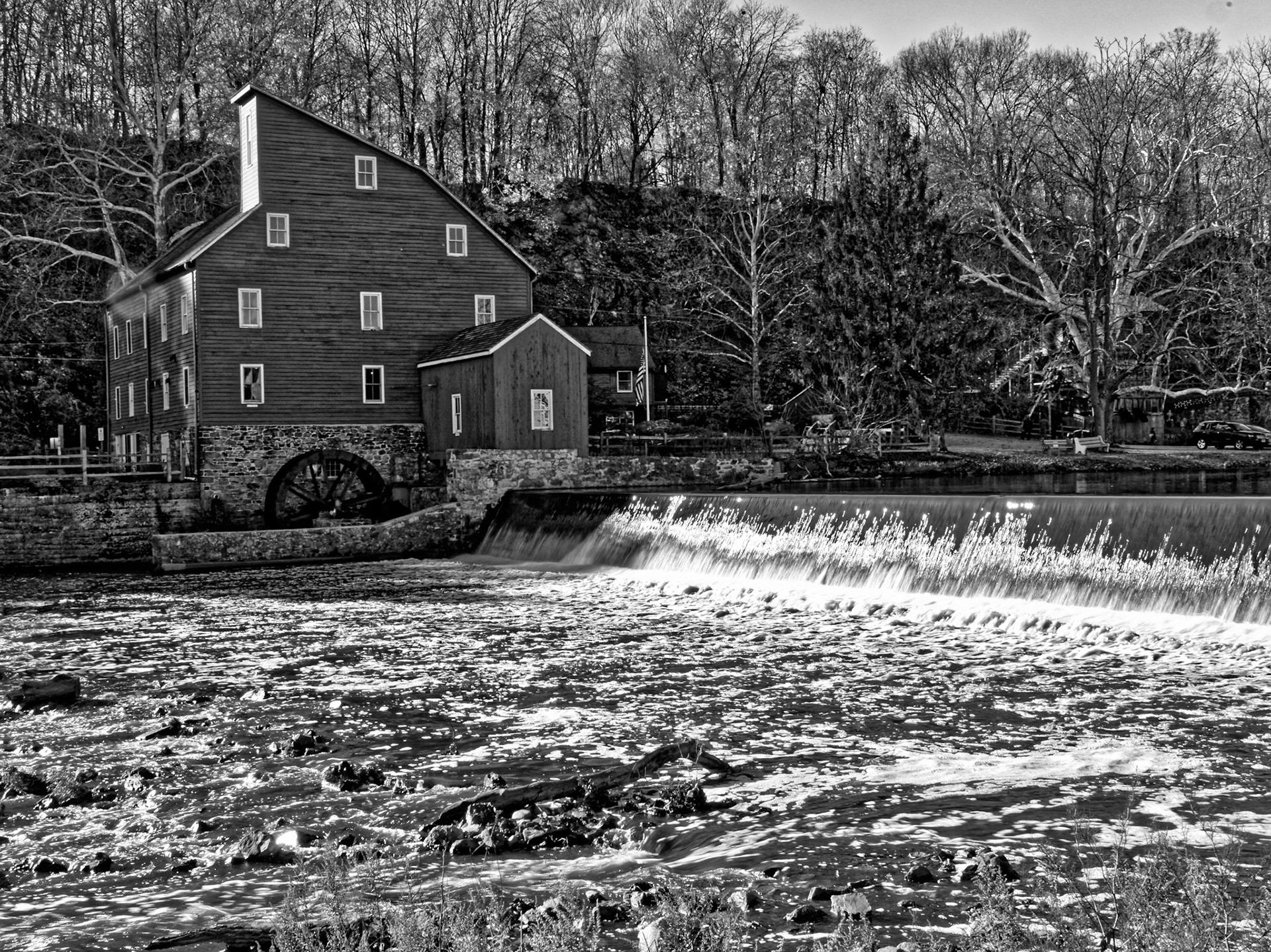 Black & White 00019