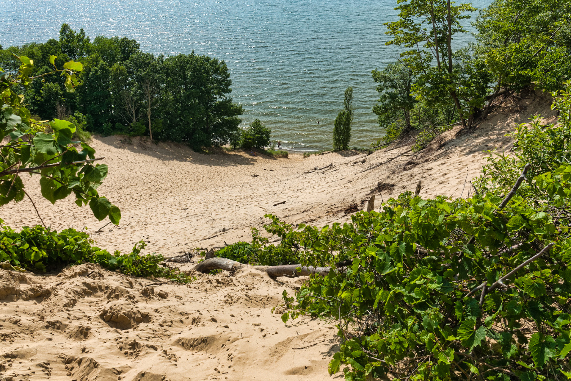 MI Dunes 00110