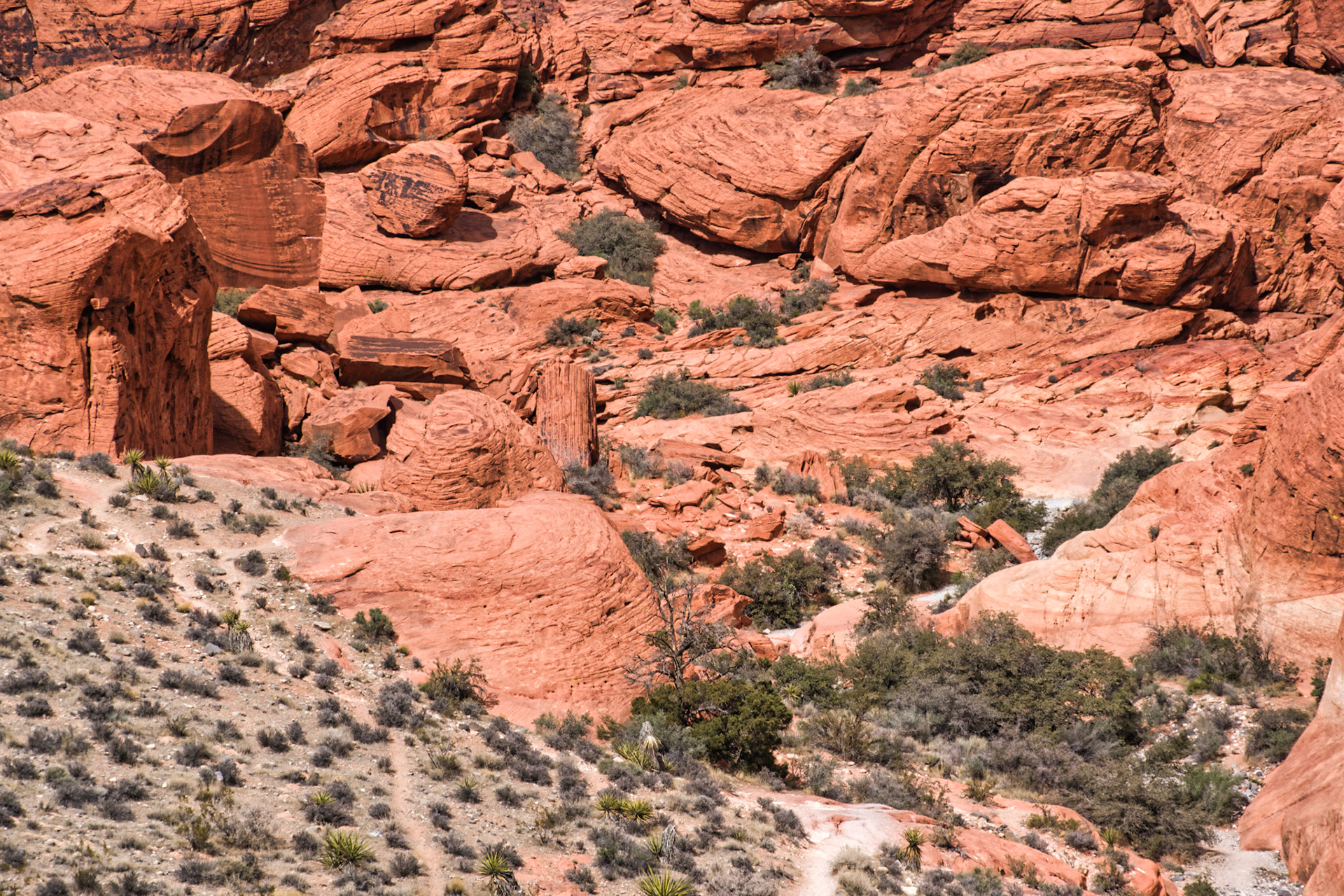 NV Desert 00184